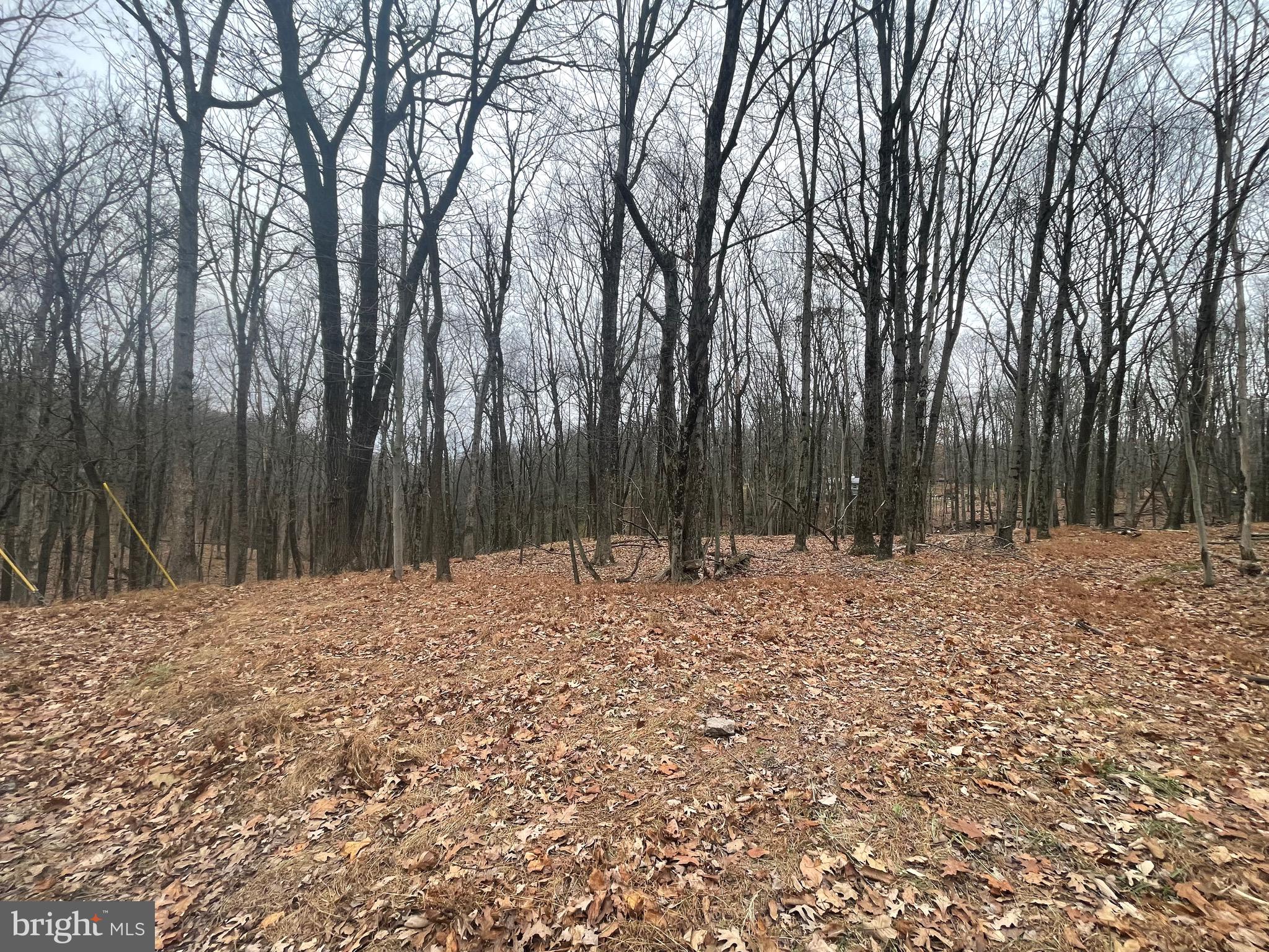 a wooden fence with trees in the background