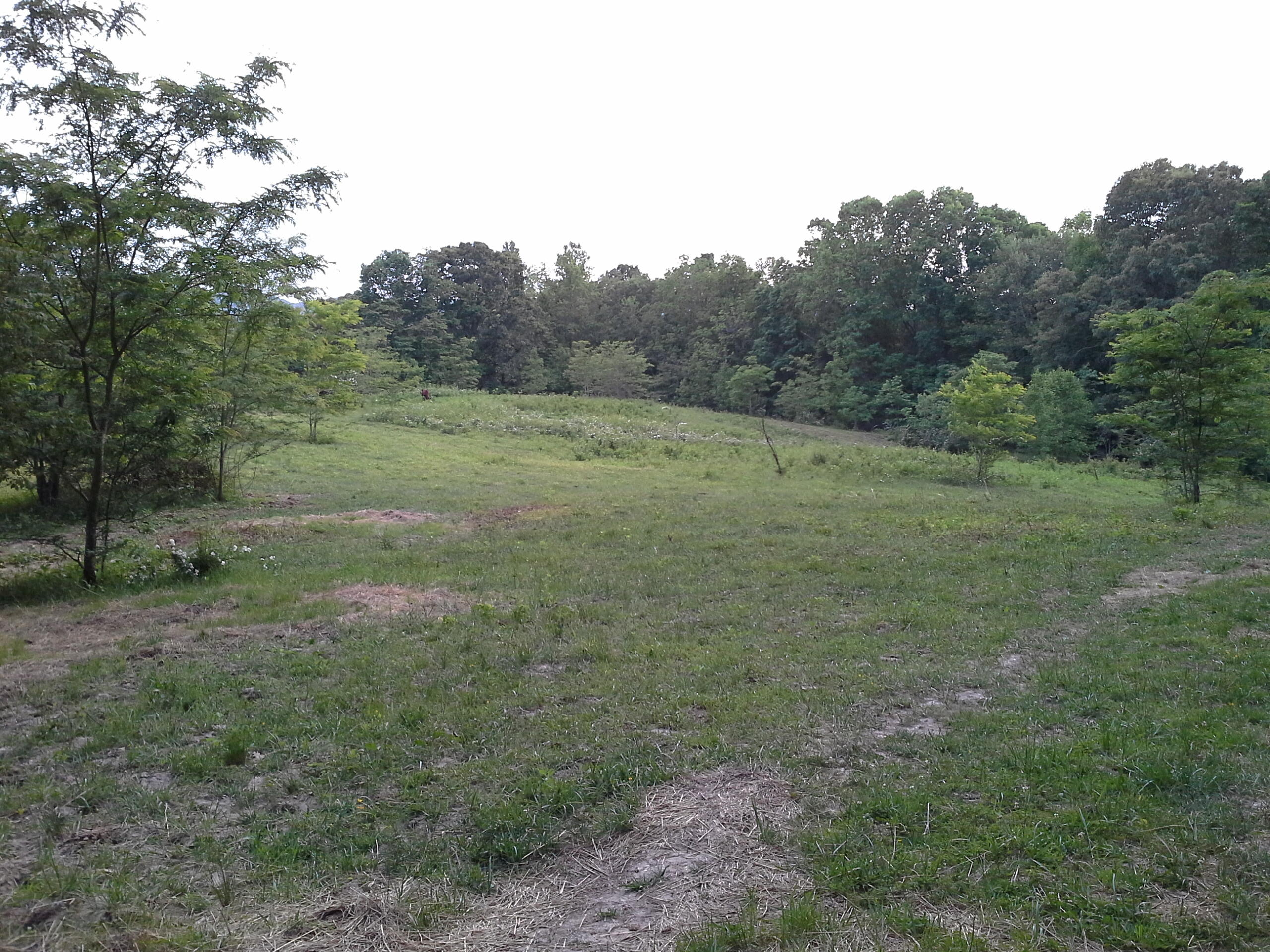 Dr Davis Road Sharps Chapel, TN 37866 - Photo 2 of 11 8