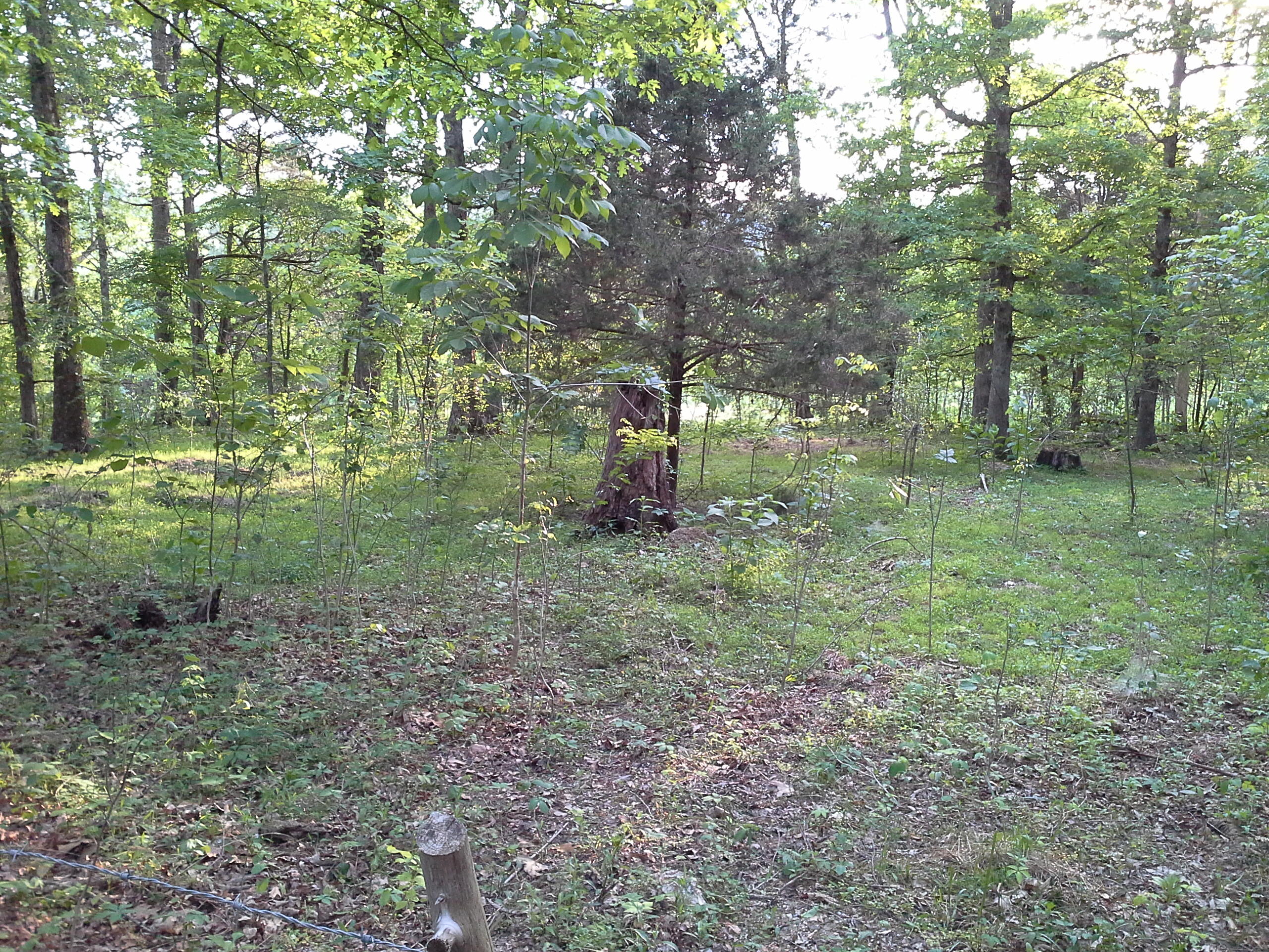 Dr Davis Road Sharps Chapel, TN 37866 - Photo 7 of 11 10