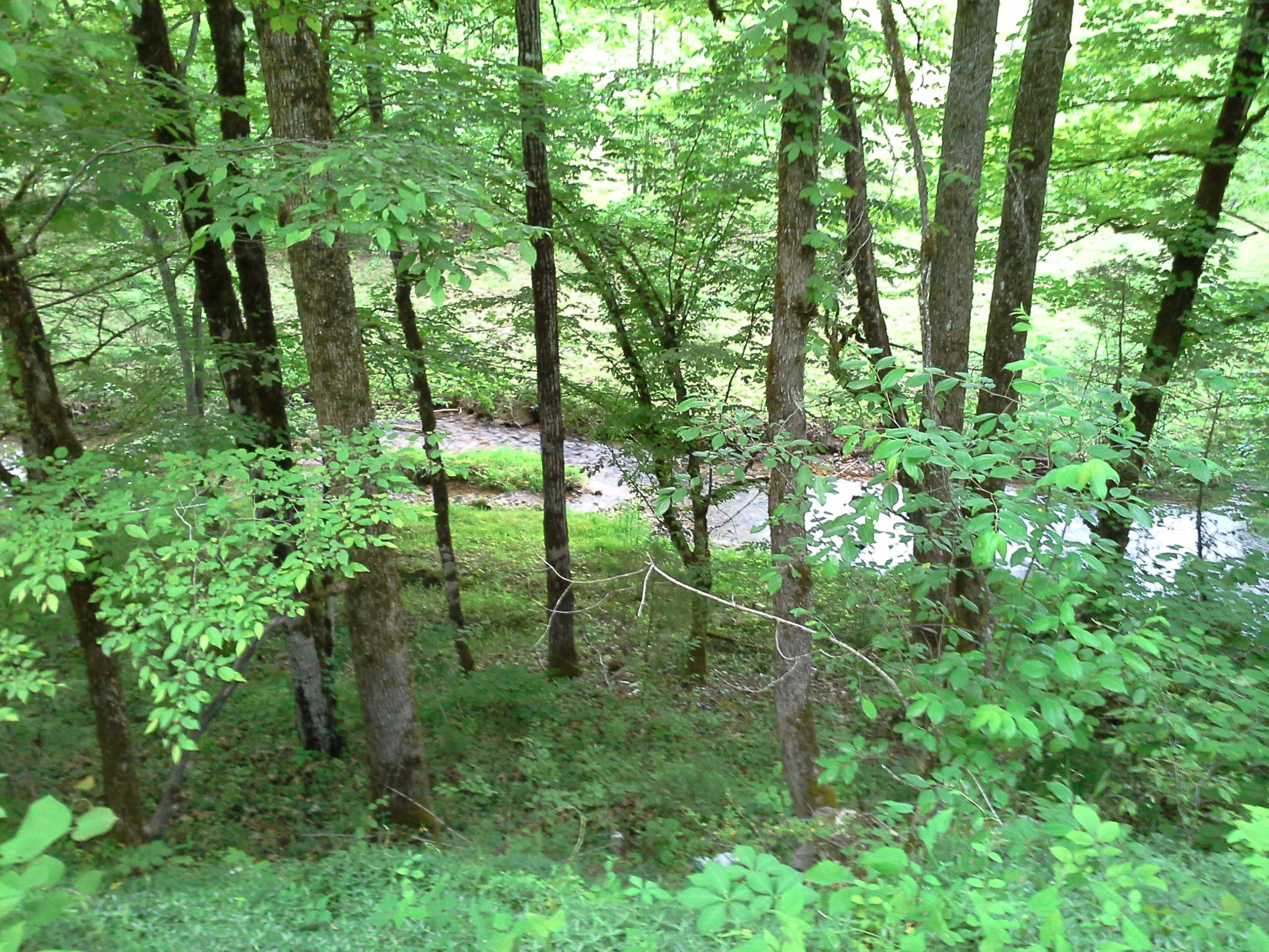 Dr Davis Road Sharps Chapel, TN 37866 - Photo 8 of 11 5