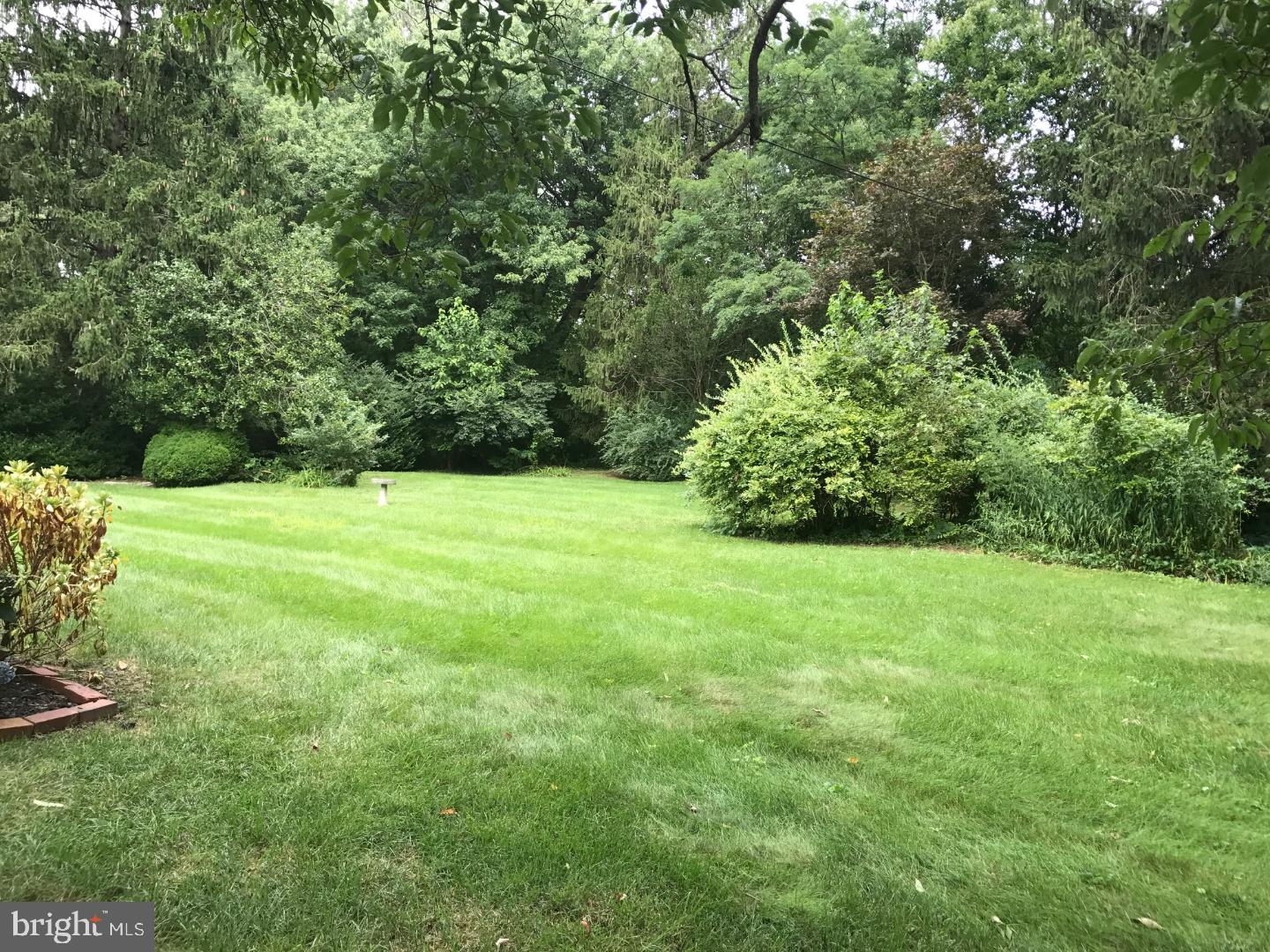 606 Wilder Road Wallingford, PA 19086 - Photo 19 of 21 Back Yard