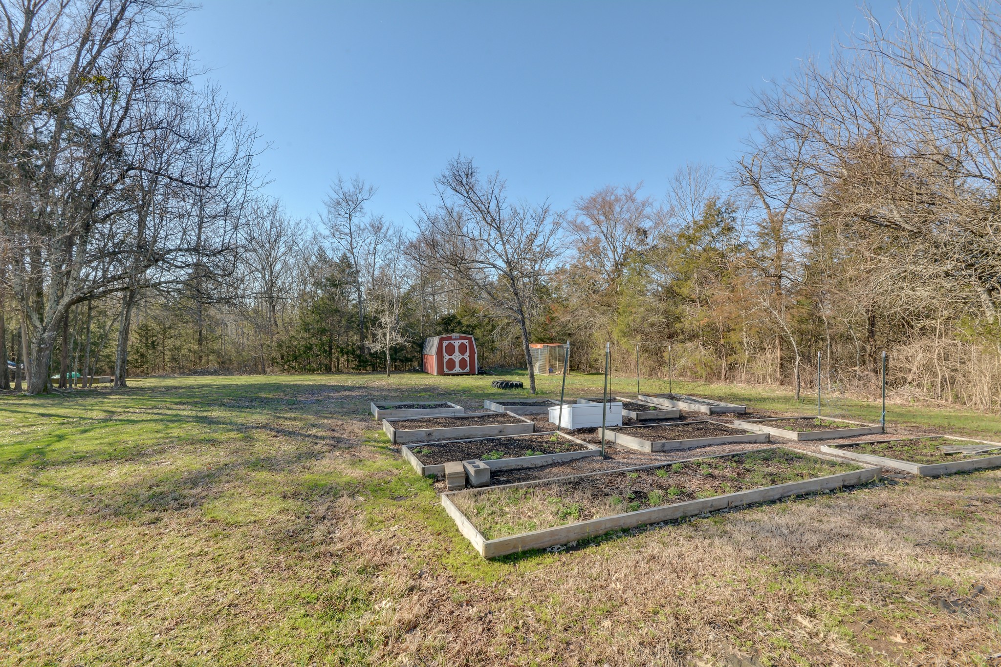 2545 Plainview Pvt Ln Spring Hill Spring Hill, TN 37174 - Photo 30 of 34 a view of a yard with trees