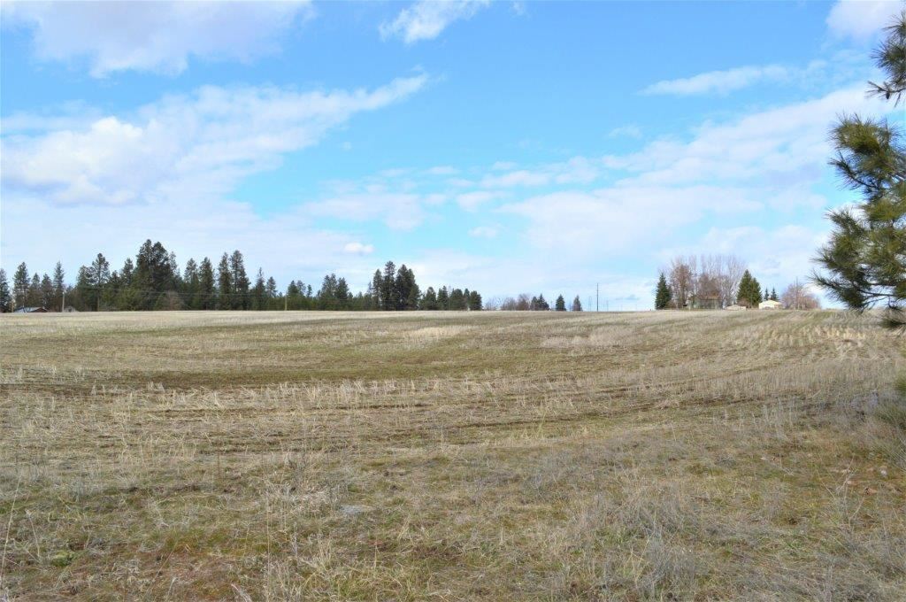 0 North Fruit Hill Road Spokane, WA 99217 - Photo 13 of 20 Gallery Image 13