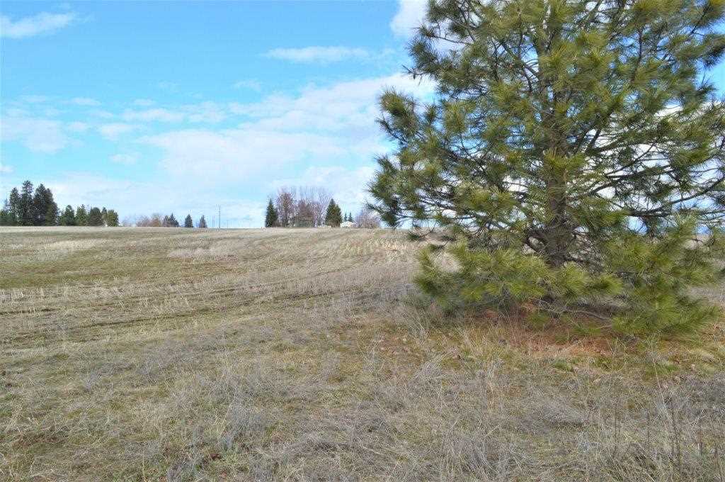 0 North Fruit Hill Road Spokane, WA 99217 - Photo 14 of 20 Gallery Image 14