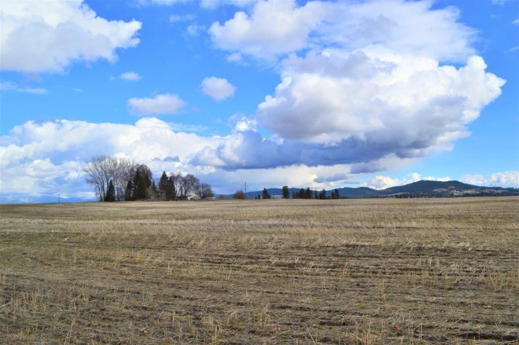 0 North Fruit Hill Road Spokane, WA 99217 - Photo 16 of 20 Gallery Image 16