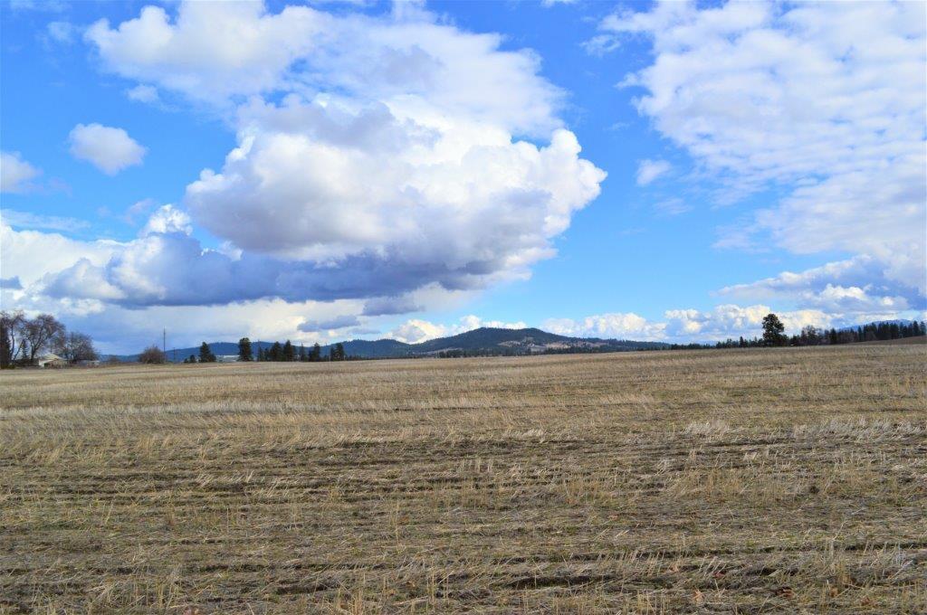 0 North Fruit Hill Road Spokane, WA 99217 - Photo 17 of 20 Gallery Image 17