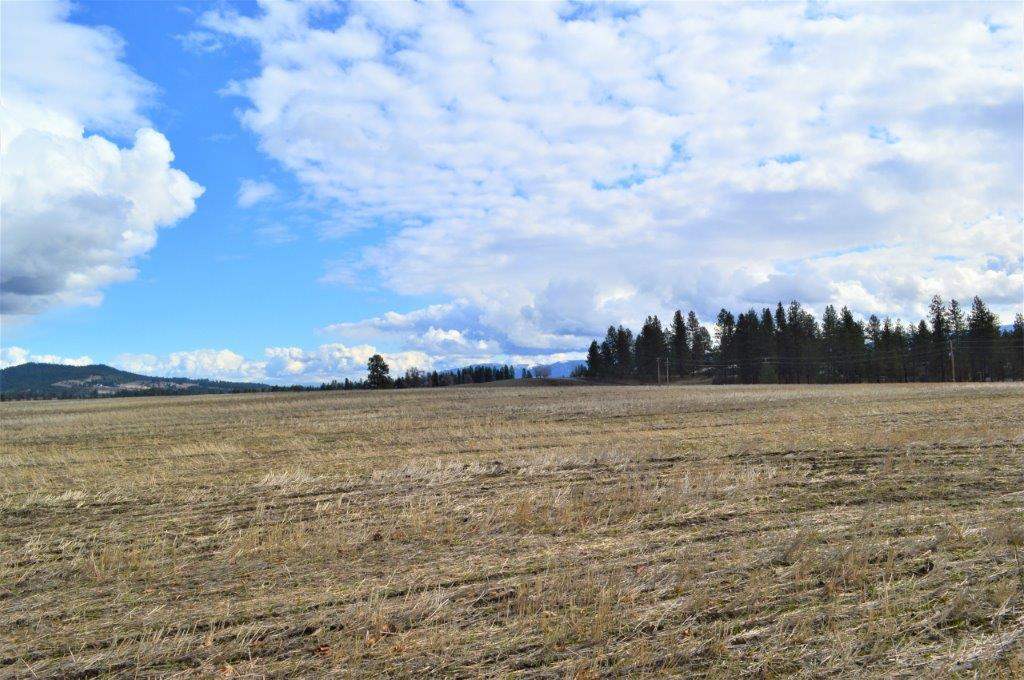 0 North Fruit Hill Road Spokane, WA 99217 - Photo 18 of 20 Gallery Image 18