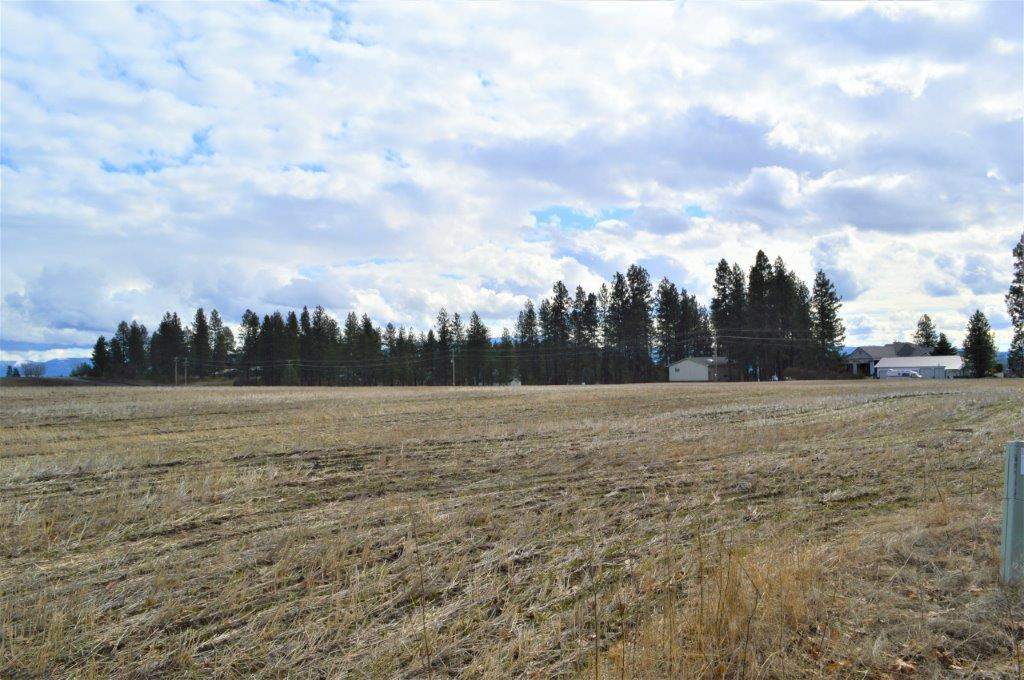 0 North Fruit Hill Road Spokane, WA 99217 - Photo 19 of 20 Gallery Image 19