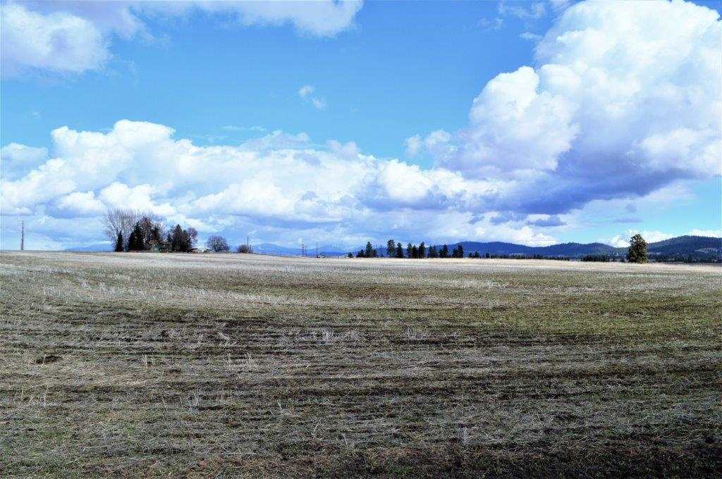 0 North Fruit Hill Road Spokane, WA 99217 - Photo 3 of 20 Gallery Image 3