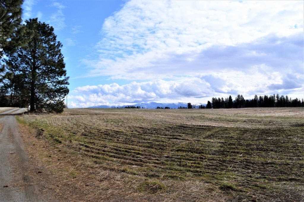 0 North Fruit Hill Road Spokane, WA 99217 - Photo 5 of 20 Gallery Image 5