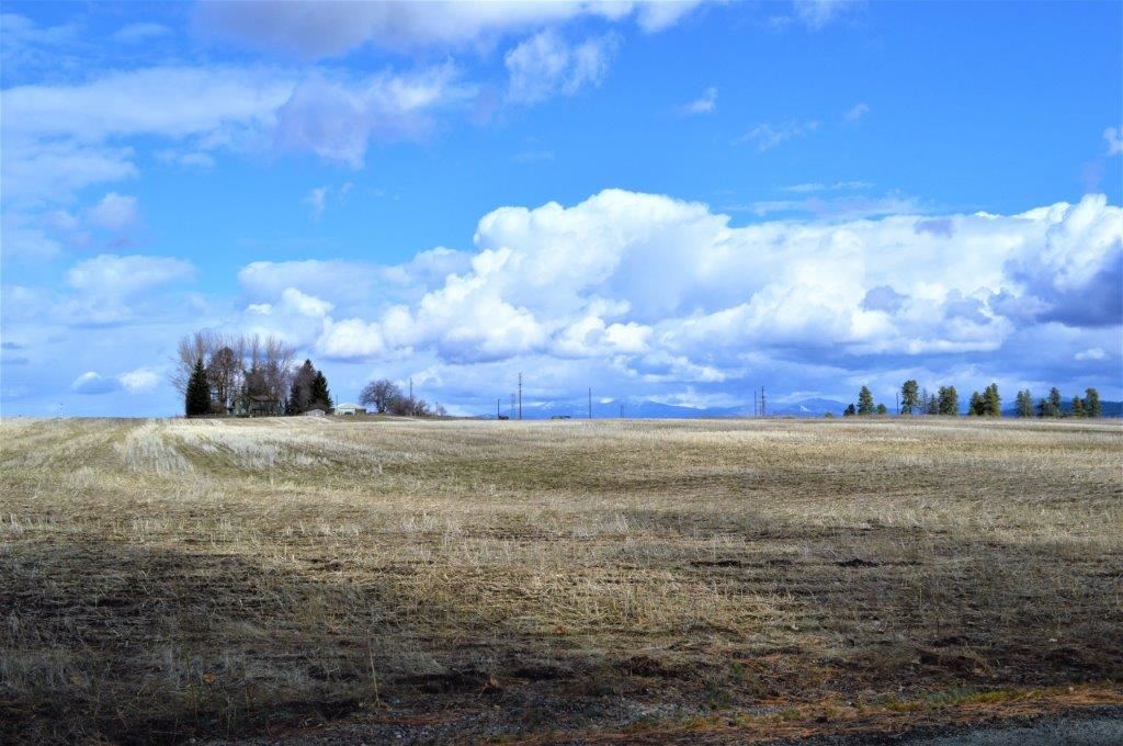 0 North Fruit Hill Road Spokane, WA 99217 - Photo 9 of 20 Gallery Image 9