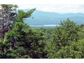 731 Beach Pond Road Wolfeboro, NH 03894 - Photo 2 of 5