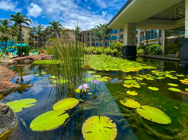 a view of swimming pool patio and outdoor seating