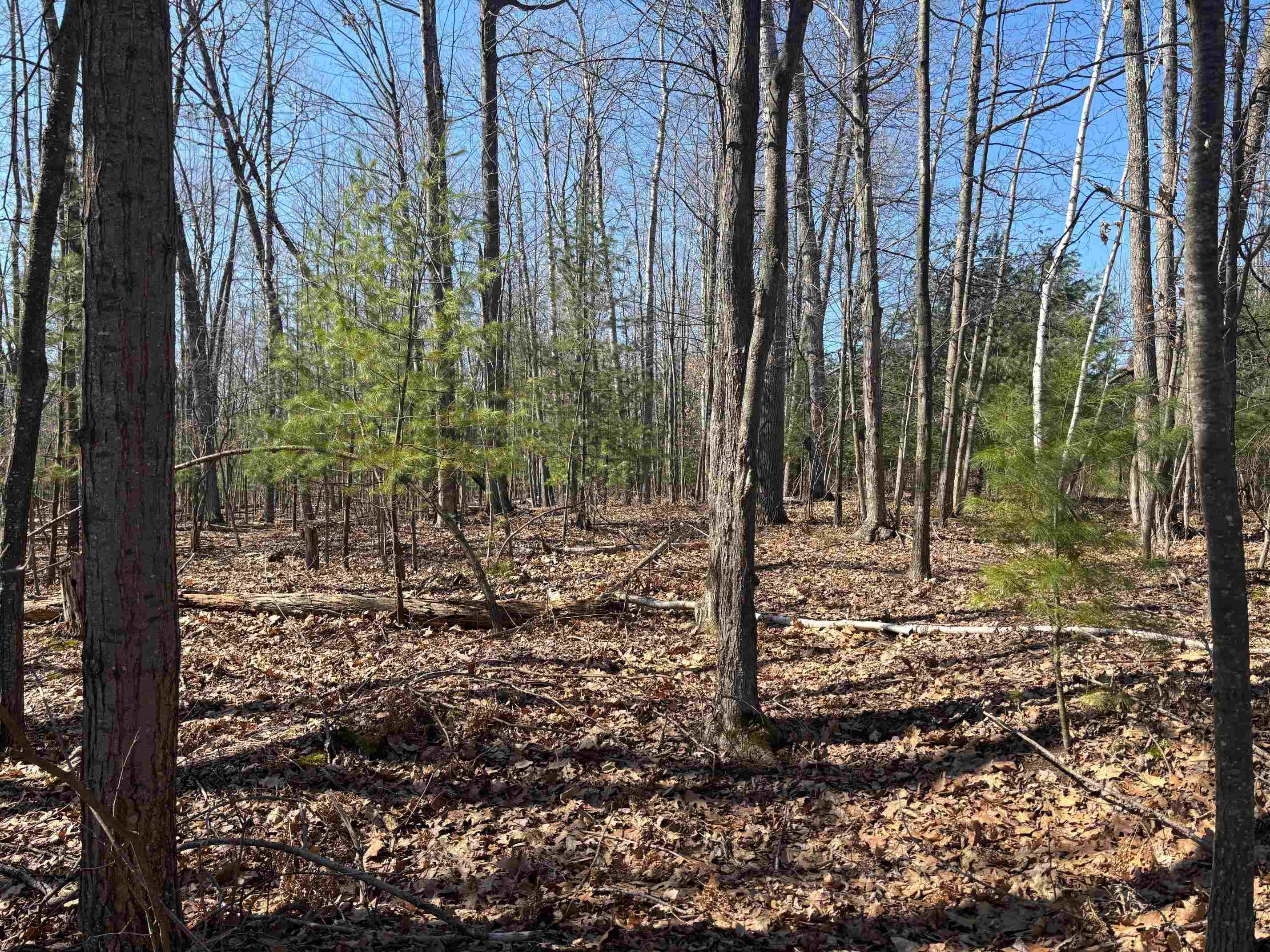 Pineway Drive Gladwin, MI 48624 - Photo 6 of 6
