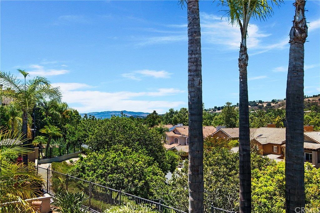3 Altimira Coto de Caza, CA 92679 - Photo 23 of 38 Breathtaking Views from Private Master Balcony!