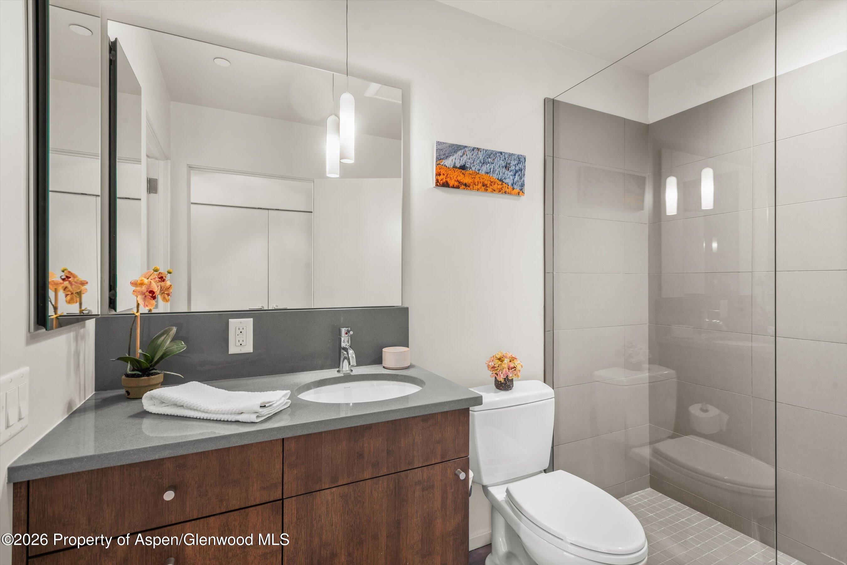 202 Evans Road, Unit 101 Basalt, CO 81621 - Photo 24 of 28 Guest Bath #2
