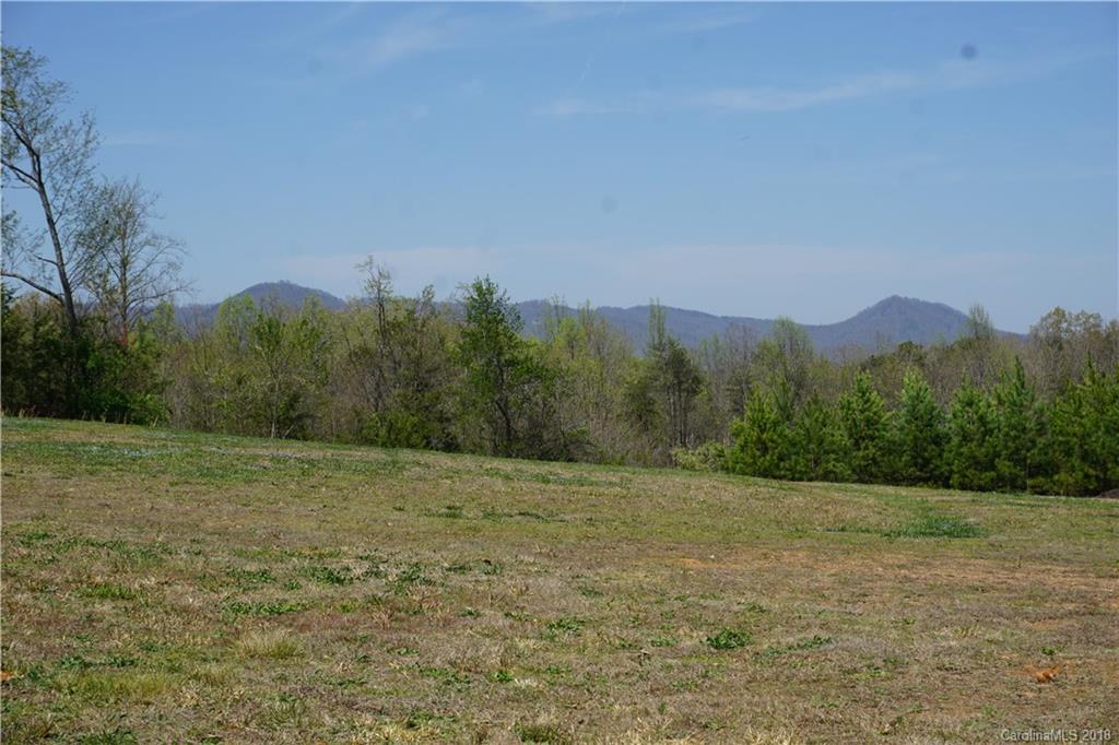 1042 Elliott Road Rutherfordton, NC 28139 - Photo 2 of 33 a view of a field with trees in background