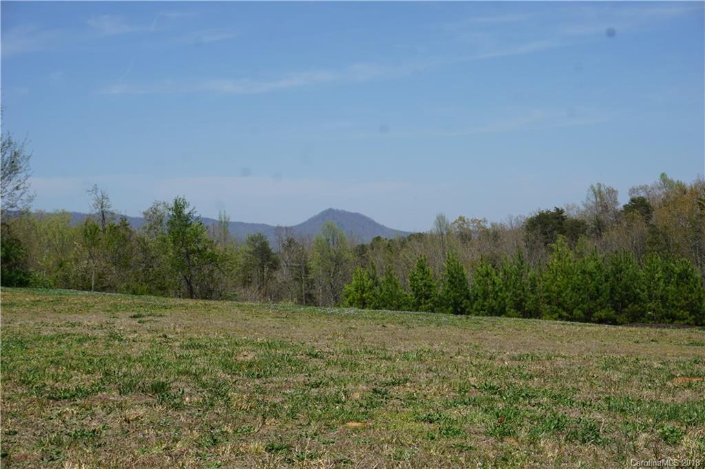 1042 Elliott Road Rutherfordton, NC 28139 - Photo 3 of 33 a view of a field with trees in background