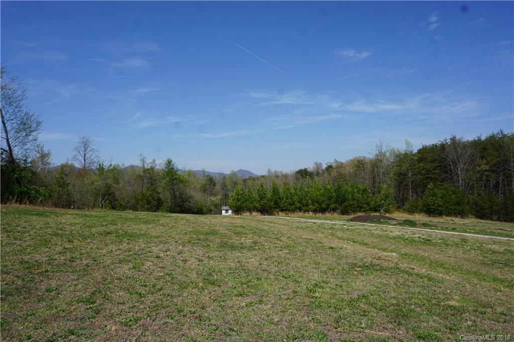 1042 Elliott Road Rutherfordton, NC 28139 - Photo 4 of 33 a view of a field with trees in background