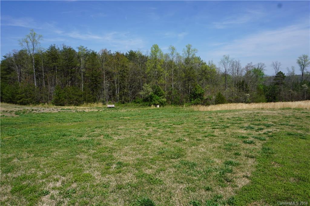 1042 Elliott Road Rutherfordton, NC 28139 - Photo 7 of 33 a backyard of a house with lots of green space