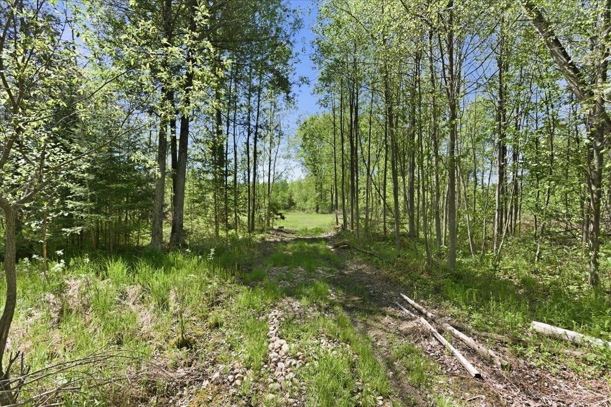 0 County Highway J Deerbrook, WI 54424 - Photo 17 of 78