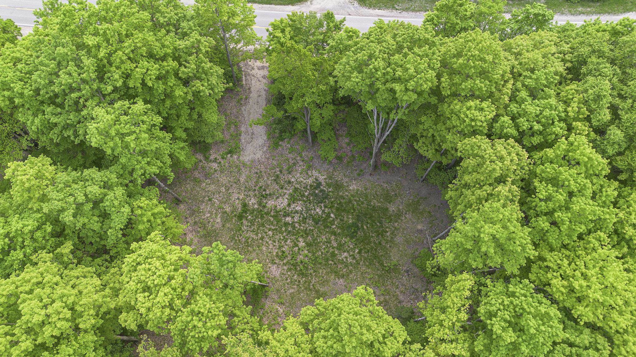 0 Warren Road Beulah, MI 49617 - Photo 3 of 19 Gallery Image 3