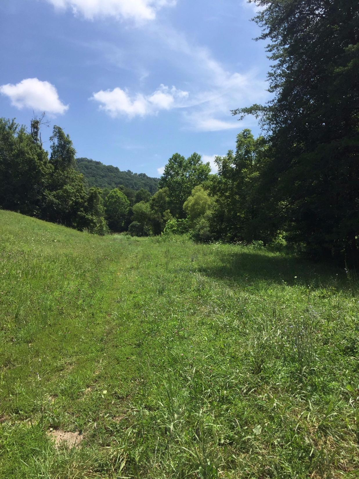 1910 Caudill Road Stanton, KY 40380 - Photo 5 of 50 The lower fields to the right at the bot