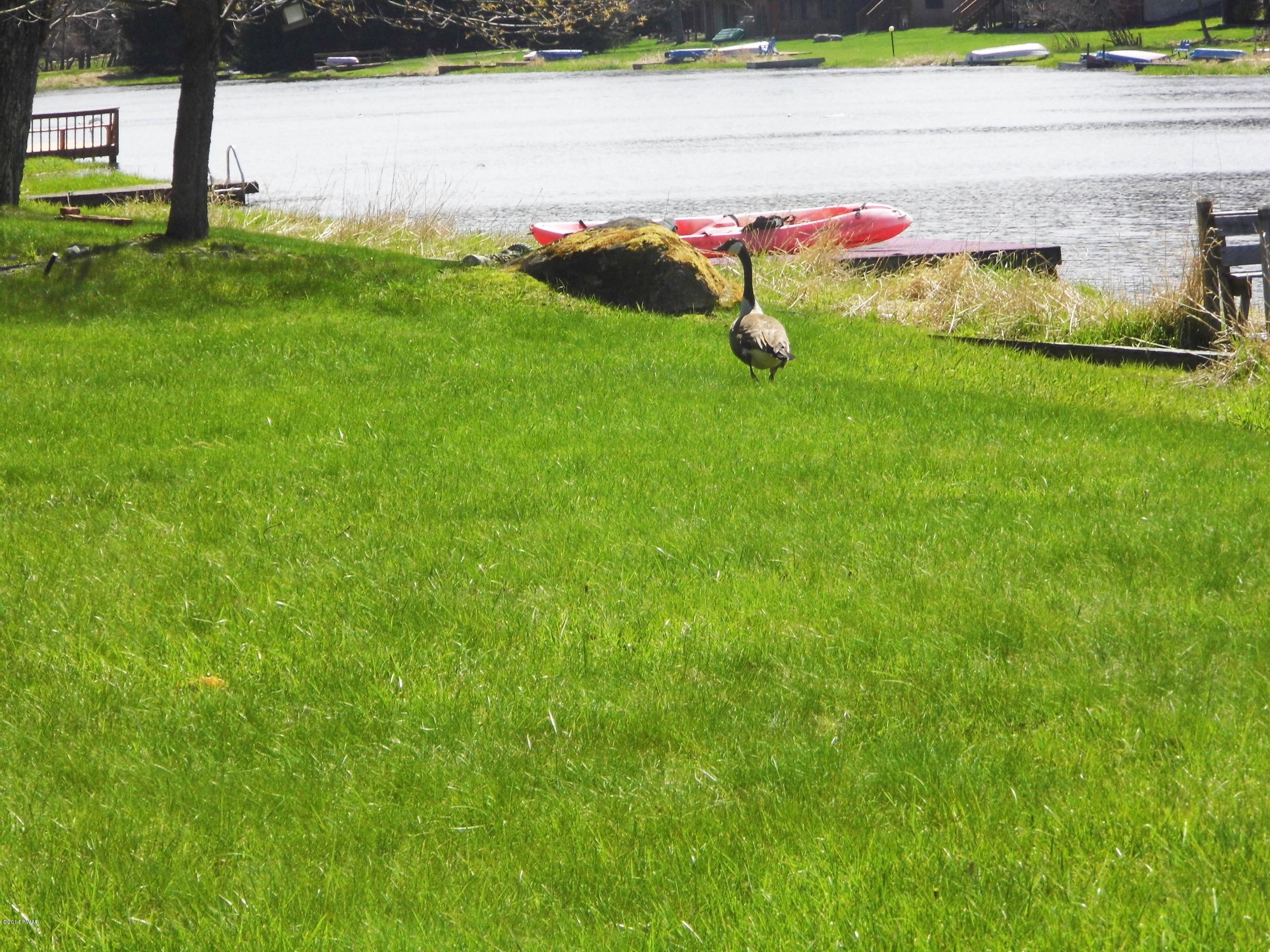 2340 Brookfield Road Lake Ariel, PA 18436 - Photo 19 of 37