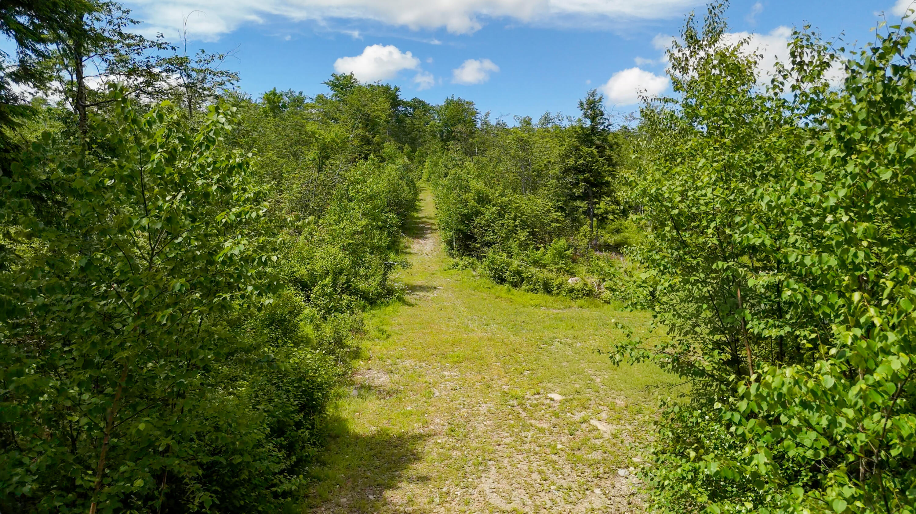 775 Old County Road Washington, ME 04574 - Photo 5 of 22 01