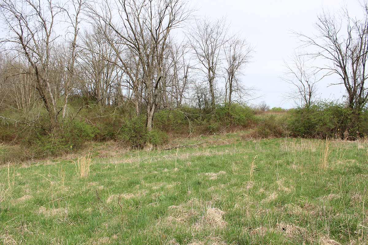 21223 Winstead Road Circleville, OH 43113 - Photo 32 of 36 Gallery Image 32