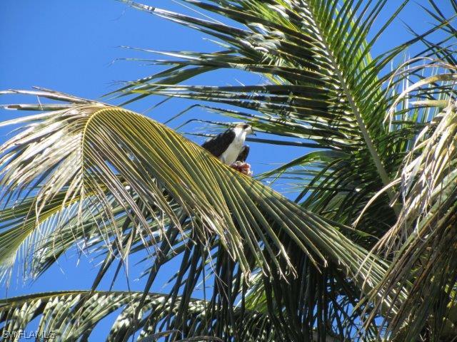 2606 Second Street Cape Coral, FL 33993 - Photo 7 of 24 a view of an outdoor space and deck