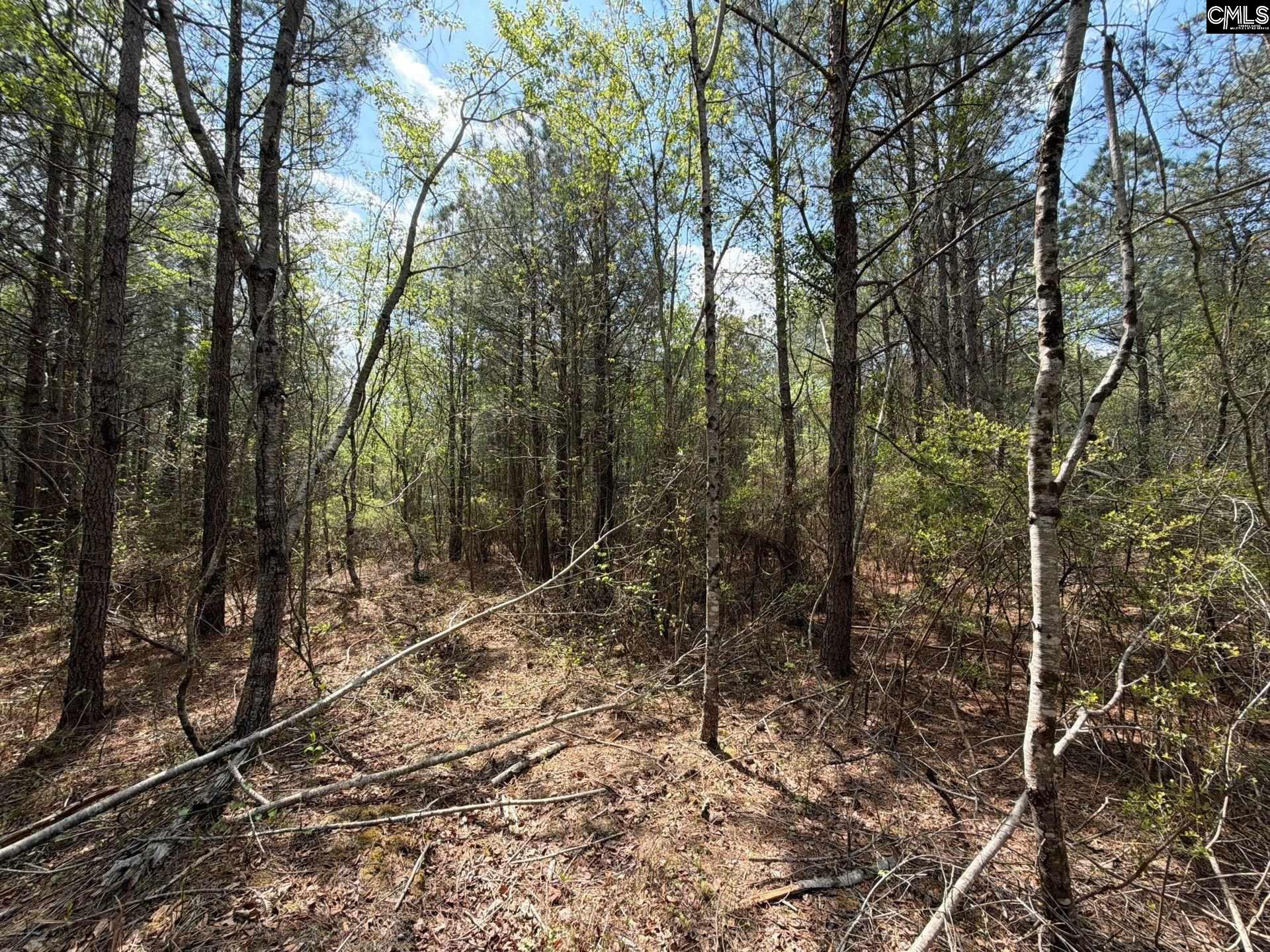 2 Mt Calvary Rd Ridge Spring, Unit CA 2 Ridge Spring, SC 29129 - Photo 15 of 29