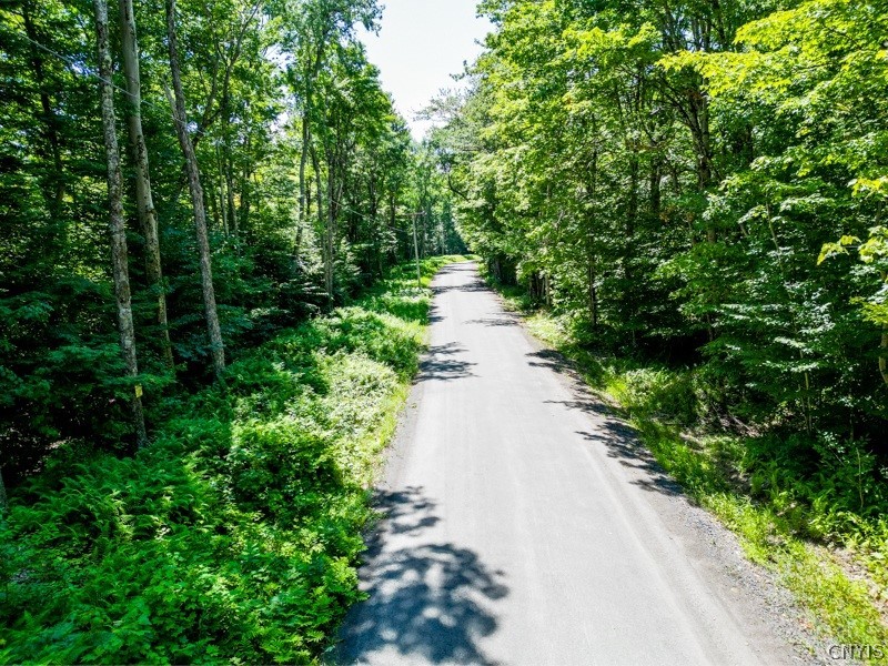 0 Brady Beach Road Cold Brook, NY 13324 - Photo 8 of 8 Gallery Image 8