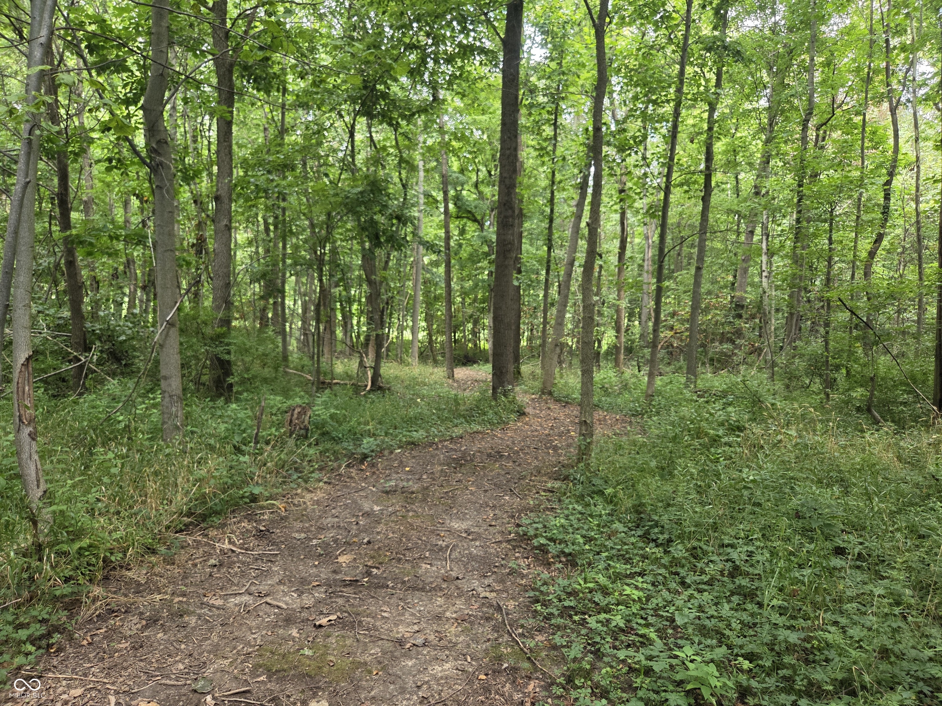 3188 Frontage Road Greensburg, IN 47240 - Photo 34 of 44