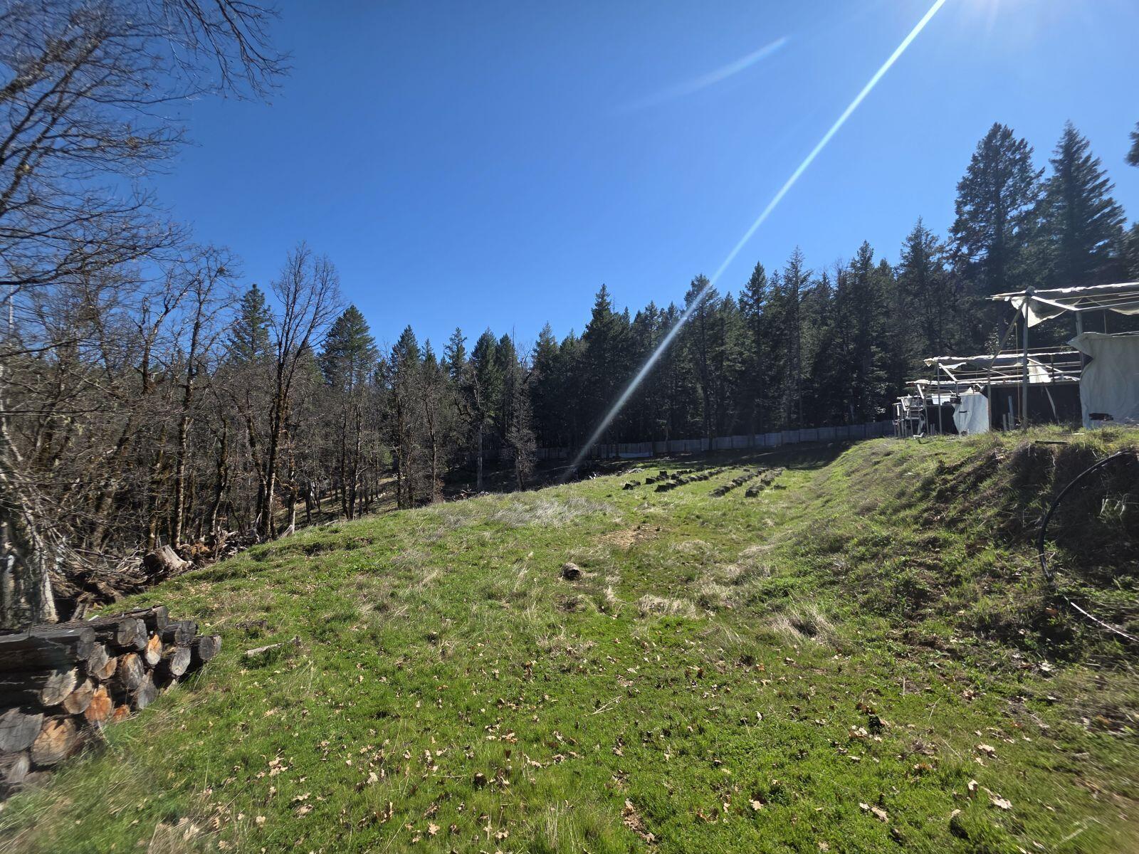 2141 Mc Alexander Road Hayfork, CA 96041 - Photo 23 of 29 mc23
