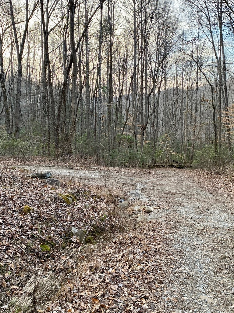 0 Carringer Road Robbinsville, NC 28771 - Photo 2 of 7