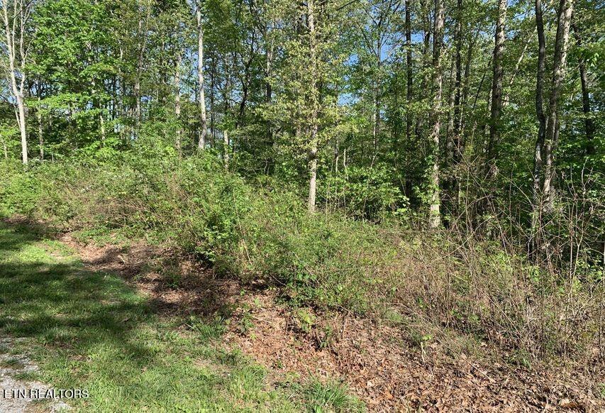 4034 Chica Road Crossville, TN 38572 - Photo 2 of 4 4034 Chica Rd