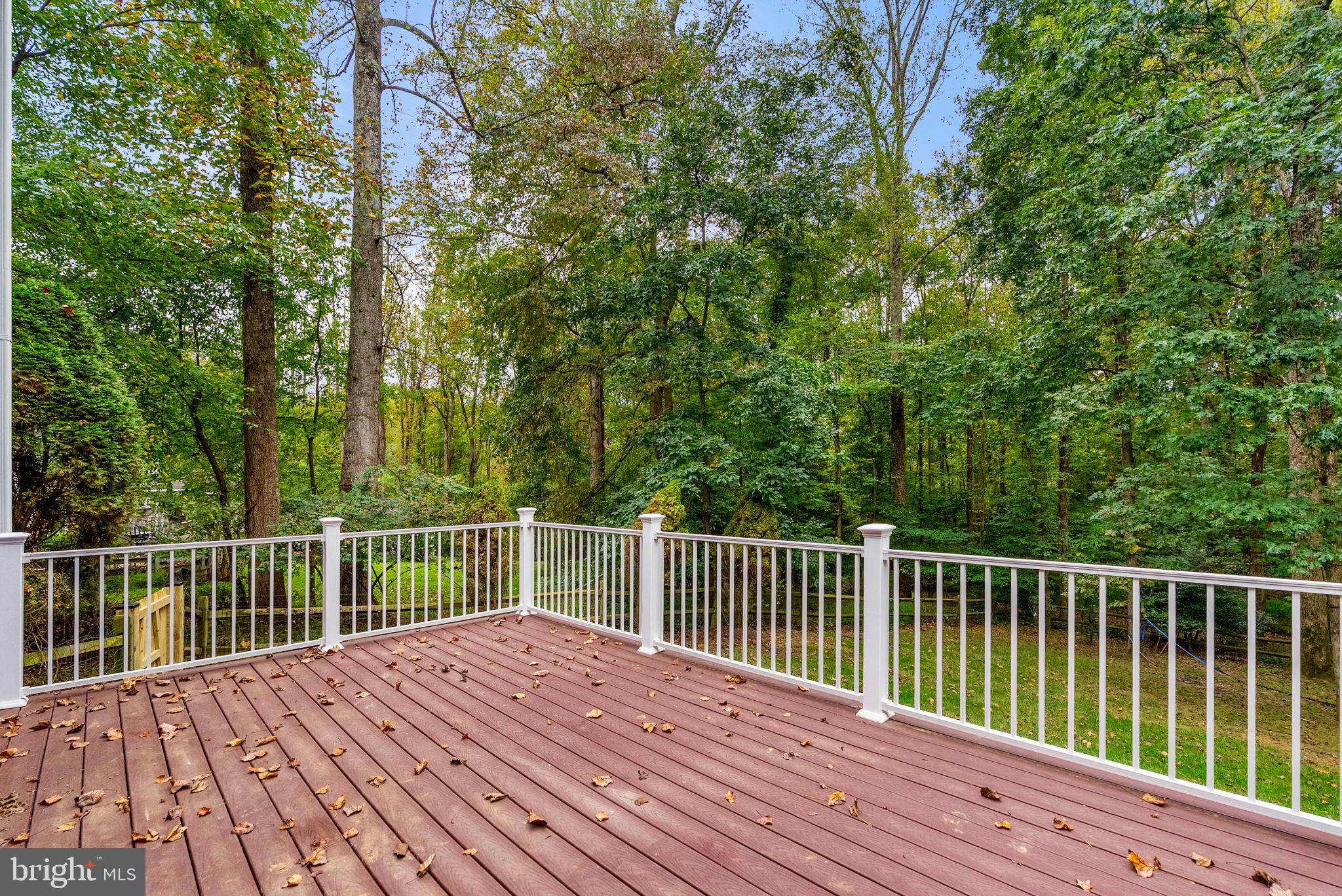 11313 French Horn Lane Reston, VA 20191 - Photo 71 of 91 Gallery Image 71