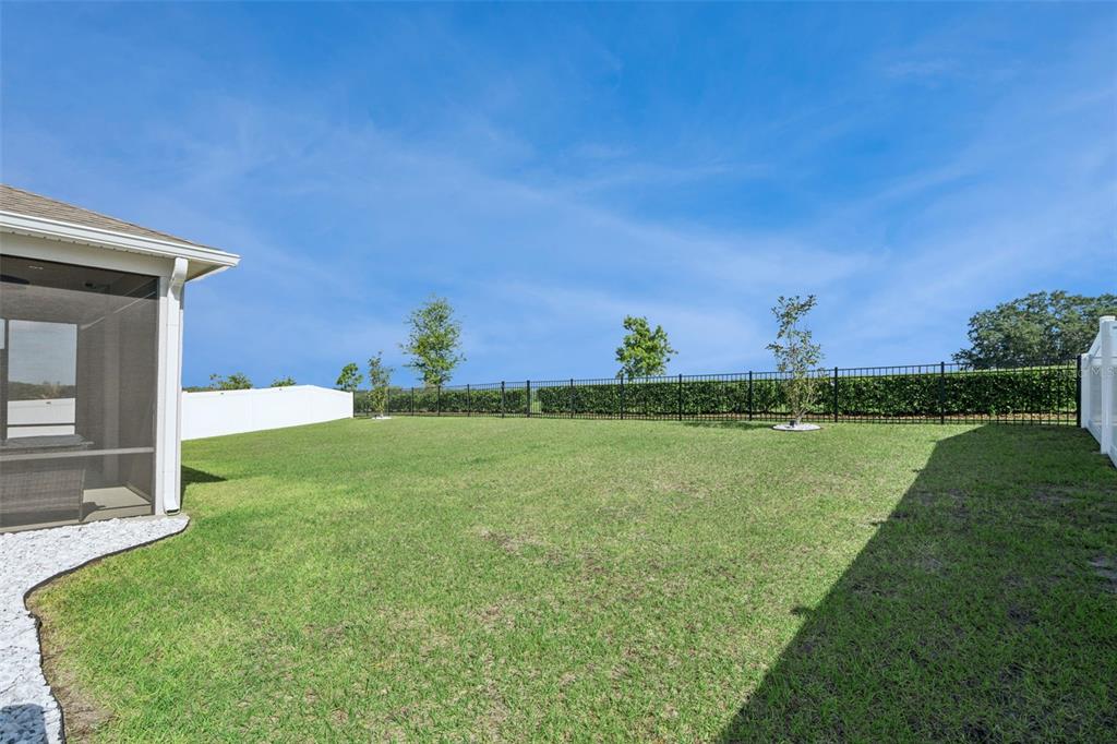 1682 Littleleaf Boxwood Loop Mascotte, FL 34753 - Photo 46 of 64