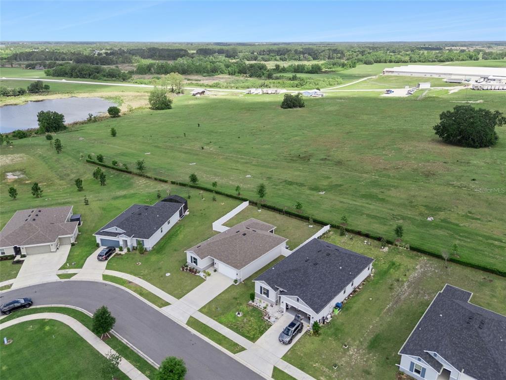 1682 Littleleaf Boxwood Loop Mascotte, FL 34753 - Photo 60 of 64