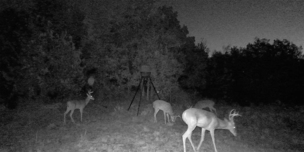 1920 Meander Road Granbury, TX 76049 - Photo 38 of 40 From the Game Cameras