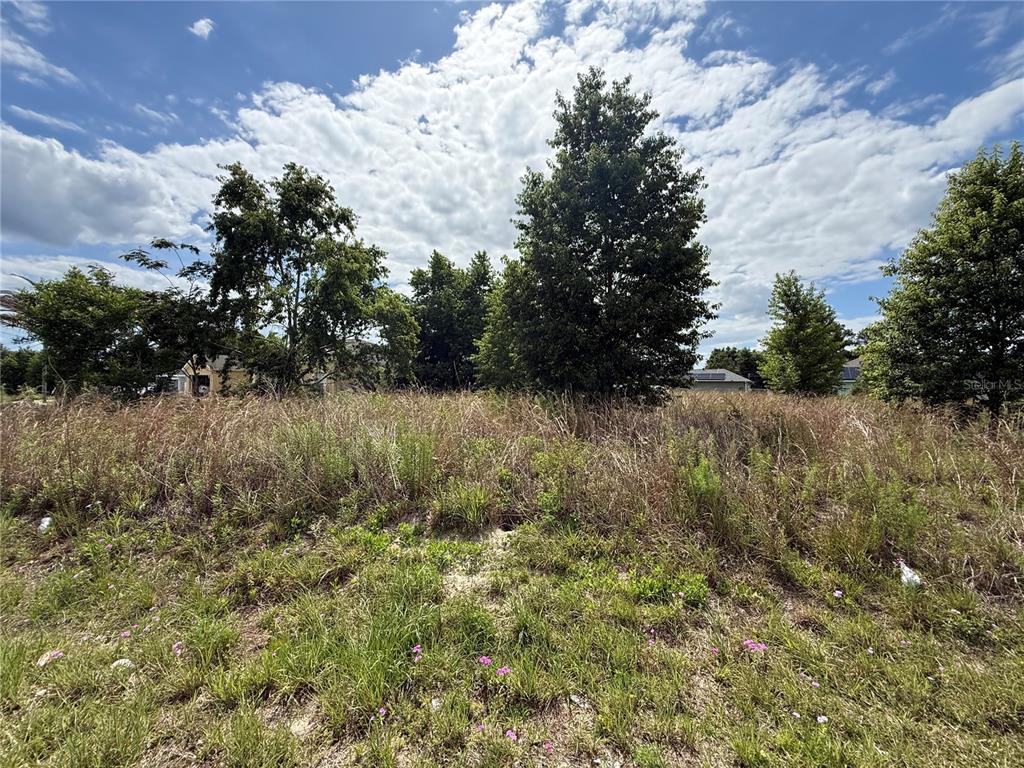 0 Juniper Loop Place Ocala, FL 34480 - Photo 8 of 8