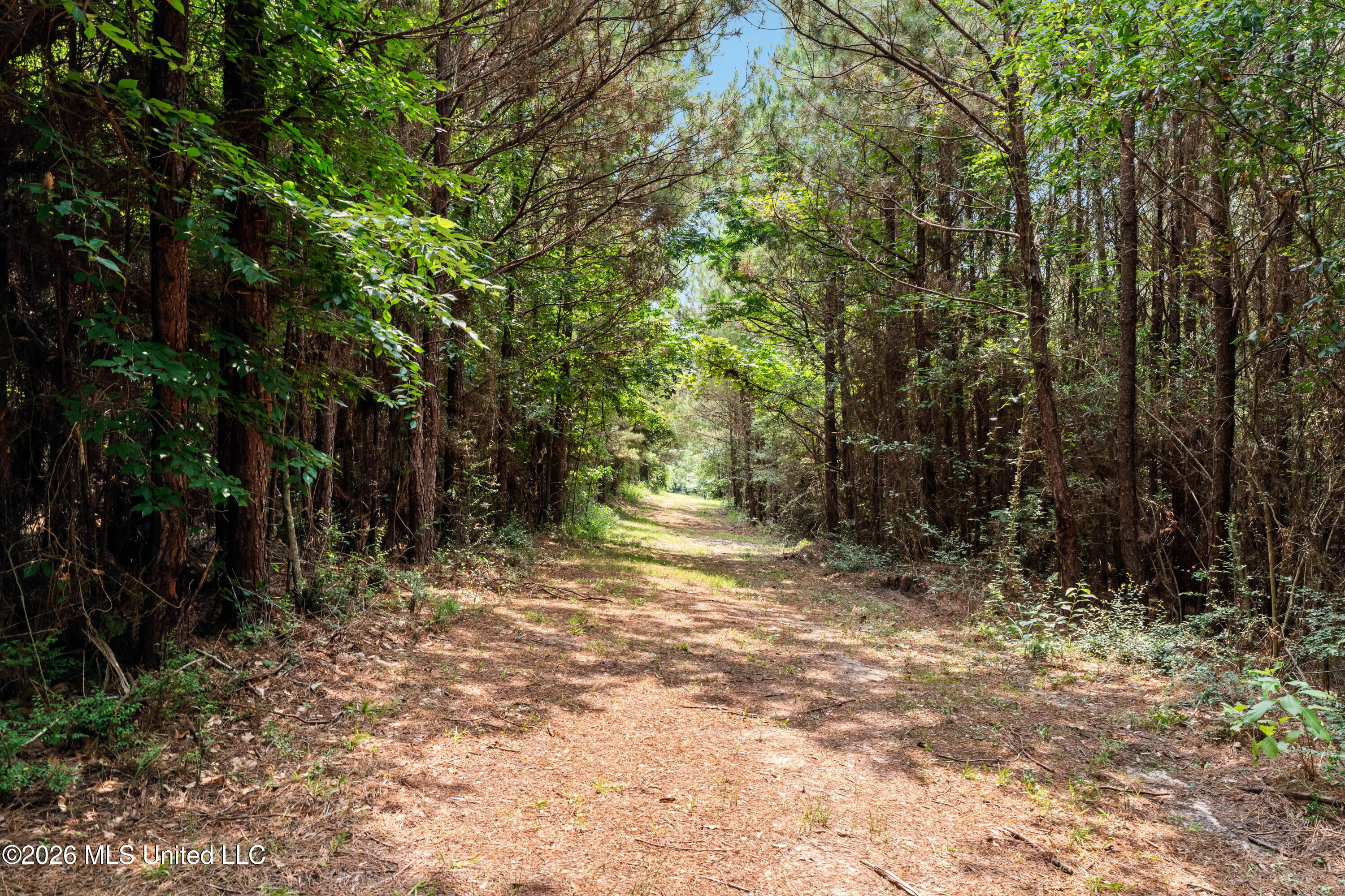 232 Knoxo Columbia Road Tylertown, MS 39667 - Photo 80 of 120 232_Knoxo_Columbia_Rd-80