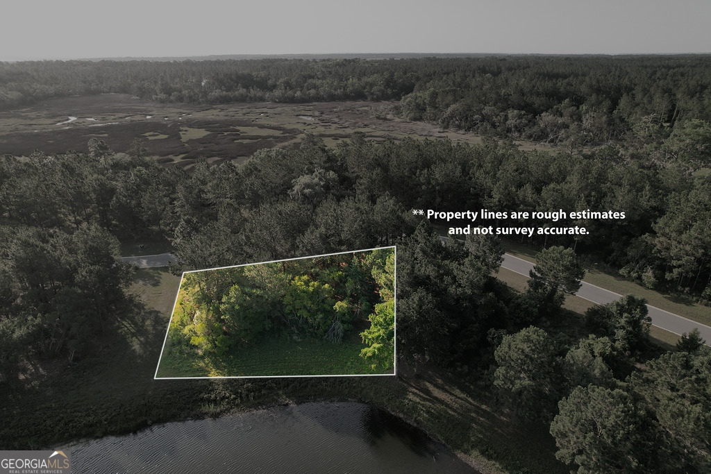 Lot 547 Beacon Pointe Parkway Waverly, GA 31565 - Photo 4 of 16 a view of a back yard