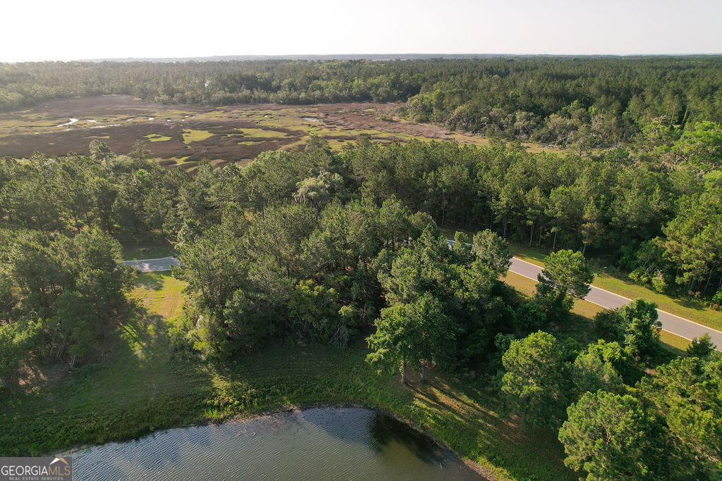 Lot 547 Beacon Pointe Parkway Waverly, GA 31565 - Photo 5 of 16 a view of a lake with lots of trees