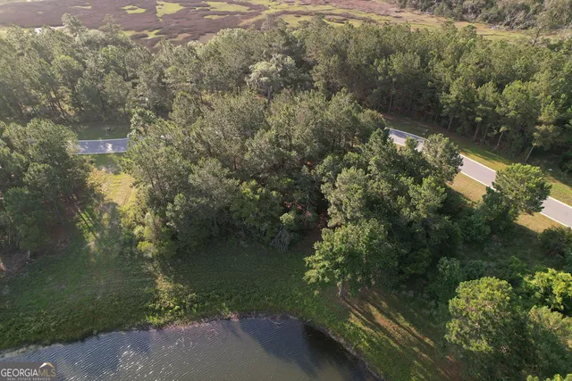 an aerial view of a house by greenery space