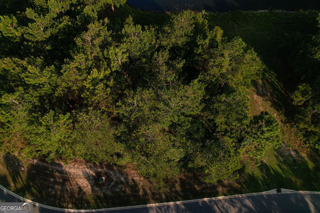 Lot 547 Beacon Pointe Parkway Waverly, GA 31565 - Photo 7 of 16 a view of a yard