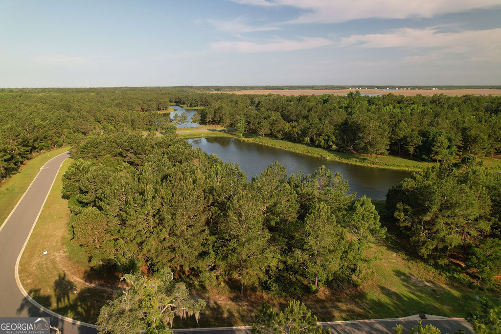 Lot 547 Beacon Pointe Parkway Waverly, GA 31565 - Photo 9 of 16 an aerial view of residential building with outdoor space and trees all around