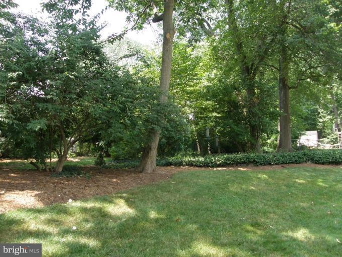 11817 Riders Lane Reston, VA 20191 - Photo 3 of 16 Back yard
