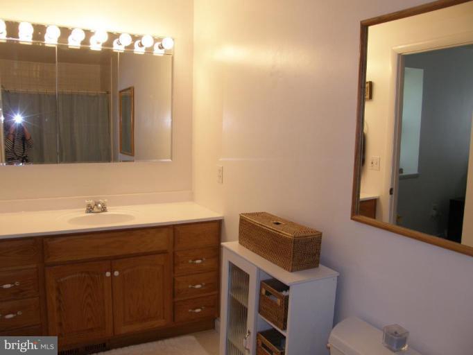 11817 Riders Lane Reston, VA 20191 - Photo 9 of 16 Master Bath